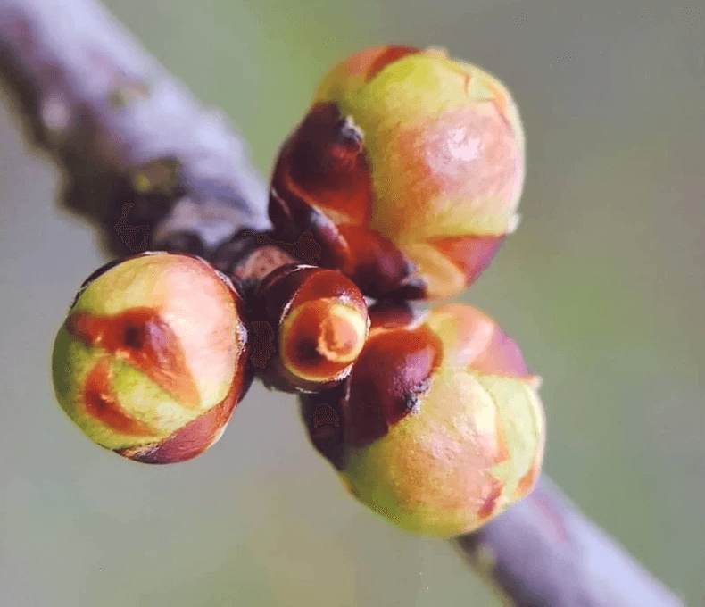 blue sky and white clouds over the sea