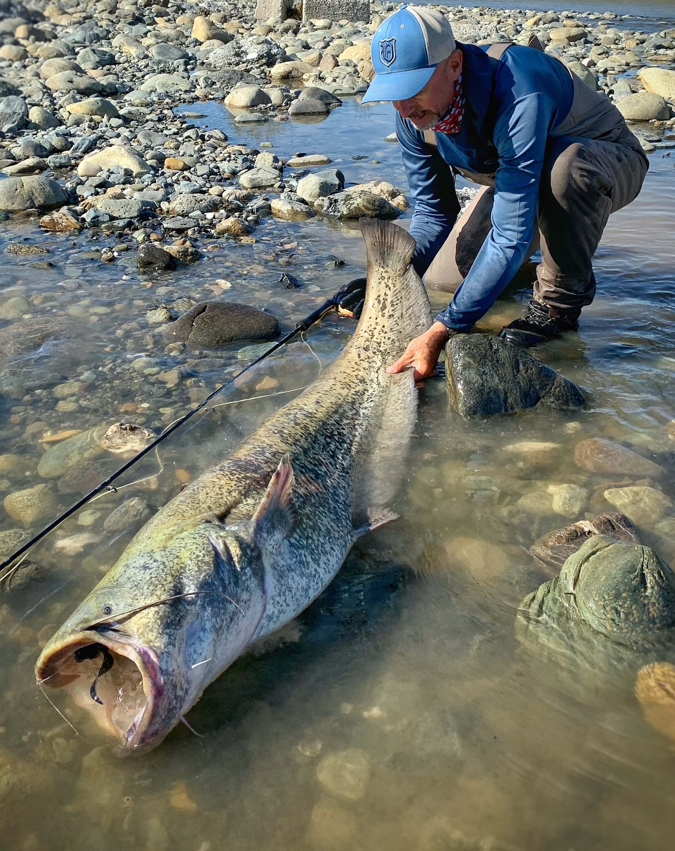 Book your fly fishing adventure on the Po River in northern Italy. Target huge carp, wels catfish, barb, and asp in stunning waters. Expert guides will teach you advanced fishing techniques. Perfect for anglers seeking big catches in beautiful settings.