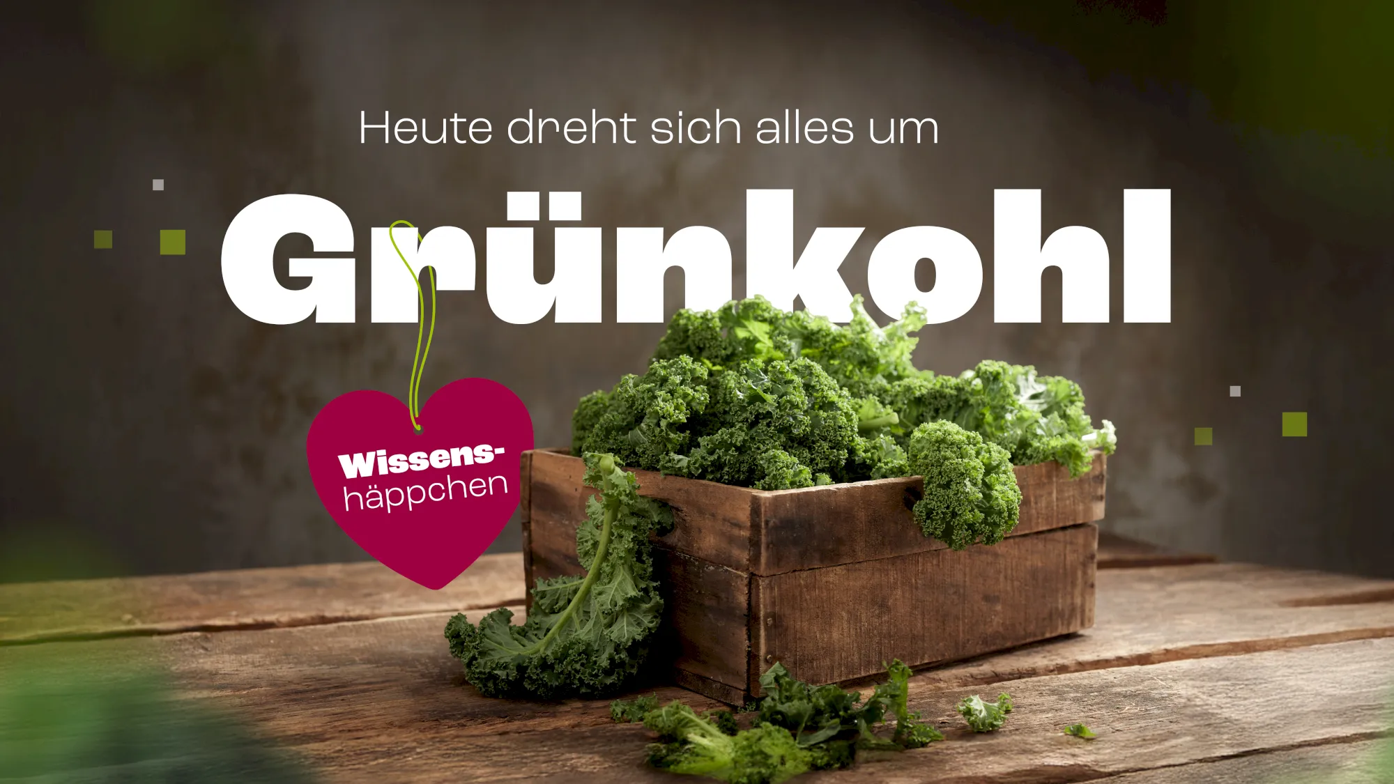 Grünkohl Bild: Kiste voller frischer Grünkohlblätter, Fokus auf Gesundheit & Ernährung.