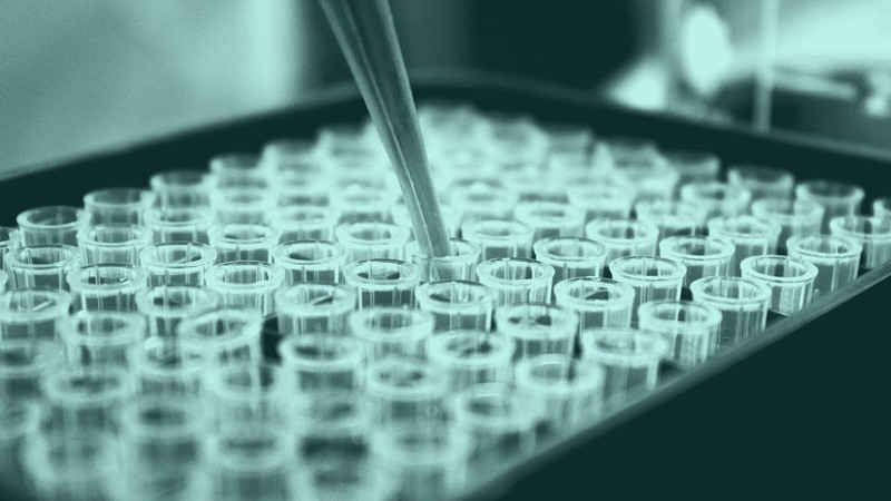 A pipette loading a tray of small glass sample tubes in a laboratory