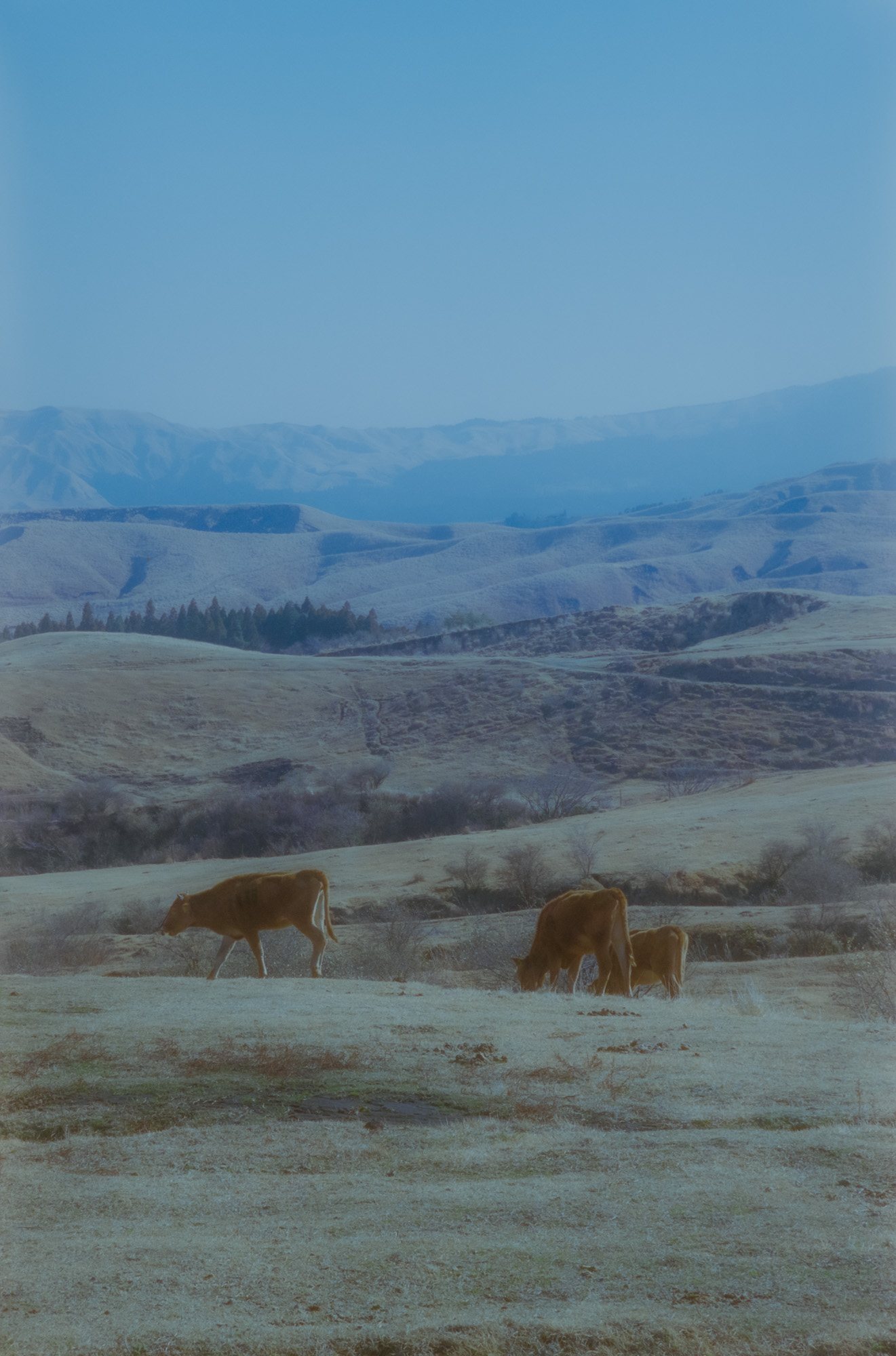 Taisei Matsumoto, archive random photograph 137