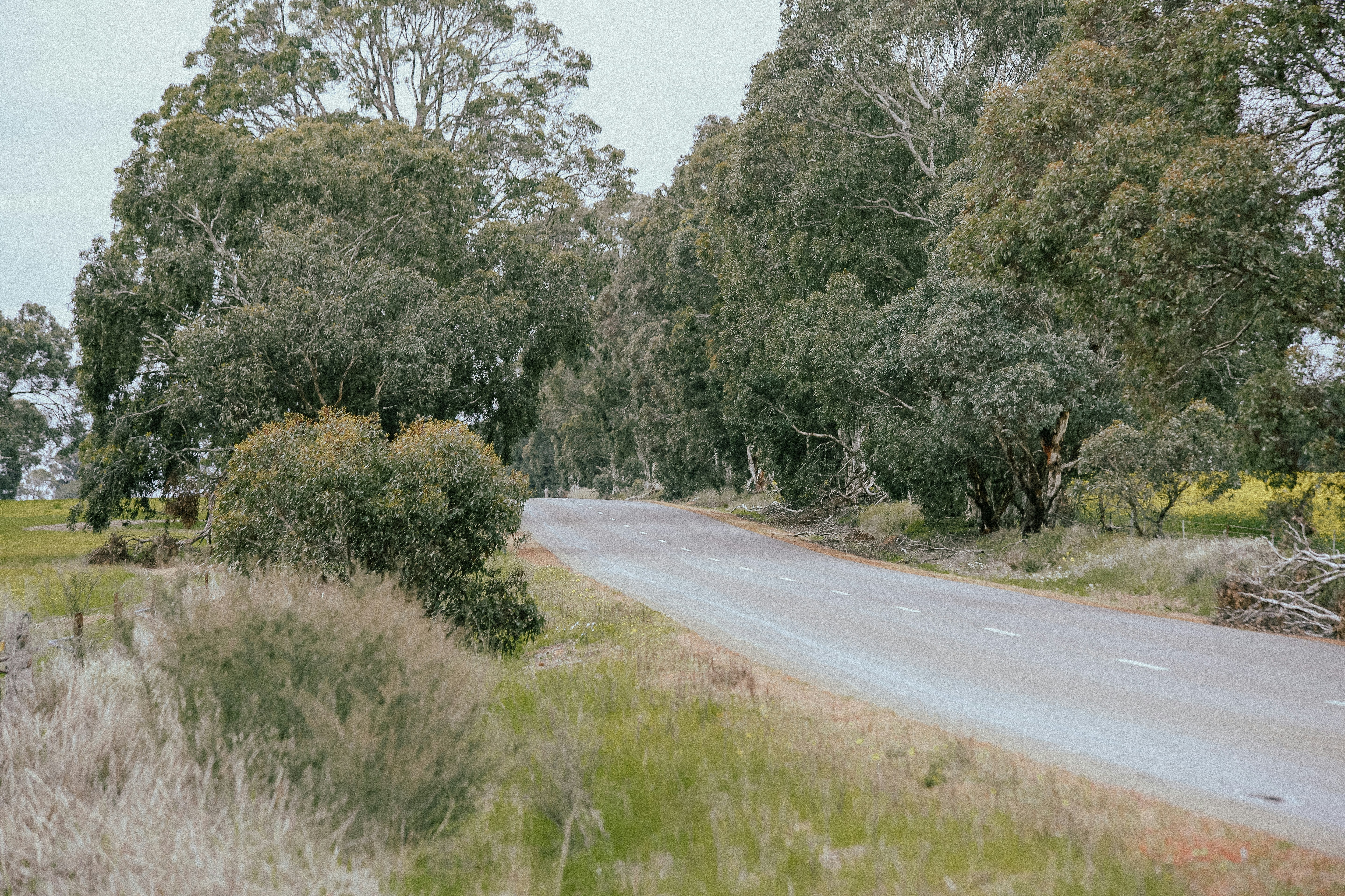 Road in Australia