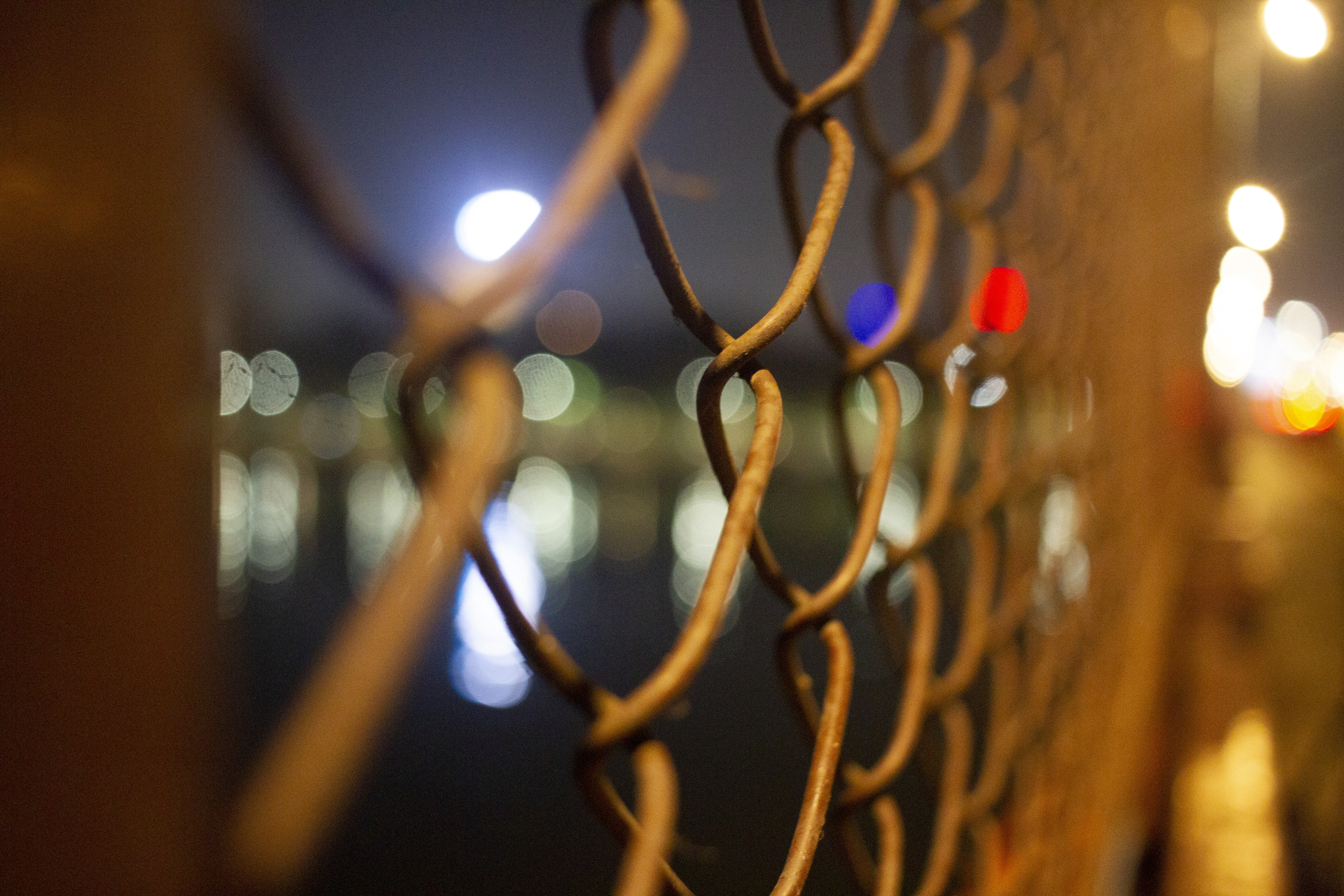 Service Photo Real Mehedi Free Framer Template Photography