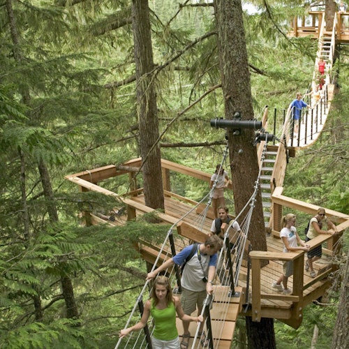 在人群中，有人 walking 在高架的木棧道和懸索橋上，在高大的樹林中，有些人觀察四周的環境。
