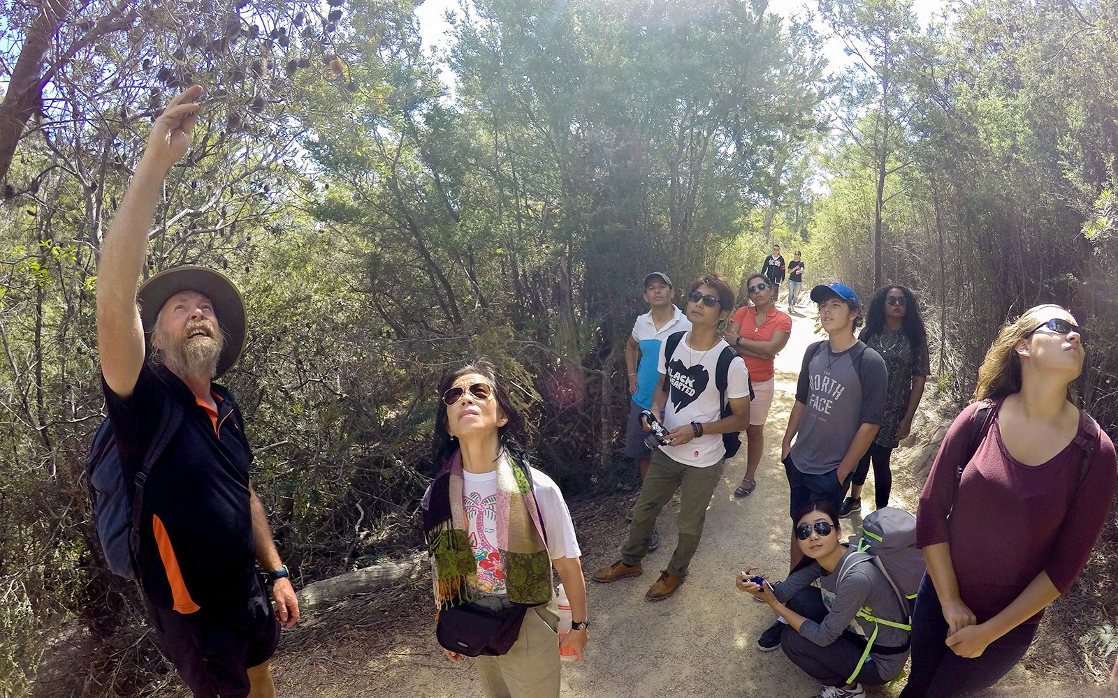 團體探索在酒杯灣探險者之旅中的森林小徑。