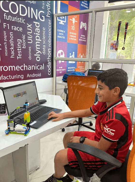 brown starfish on blue sand