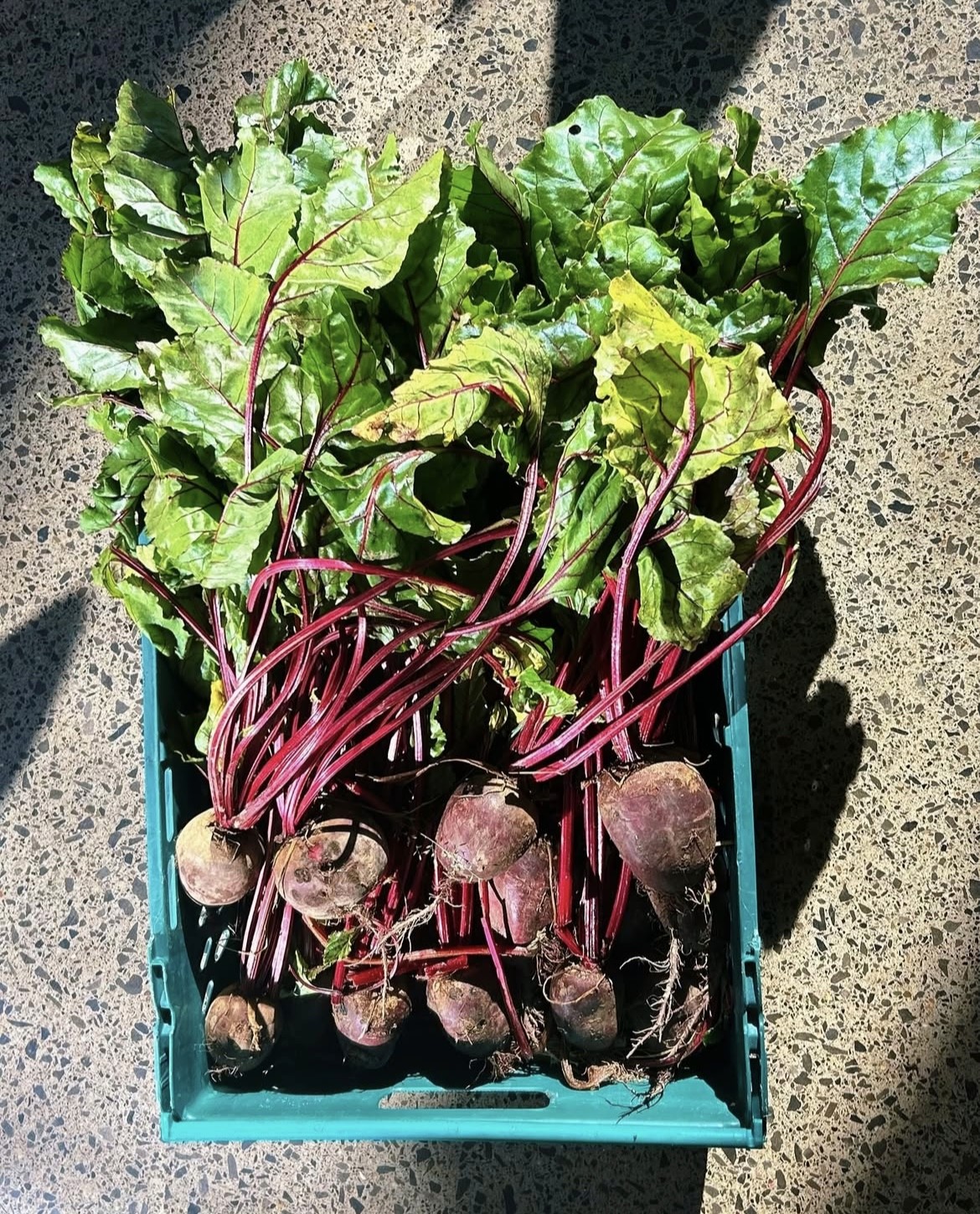 The tastiest salad in Dublin City