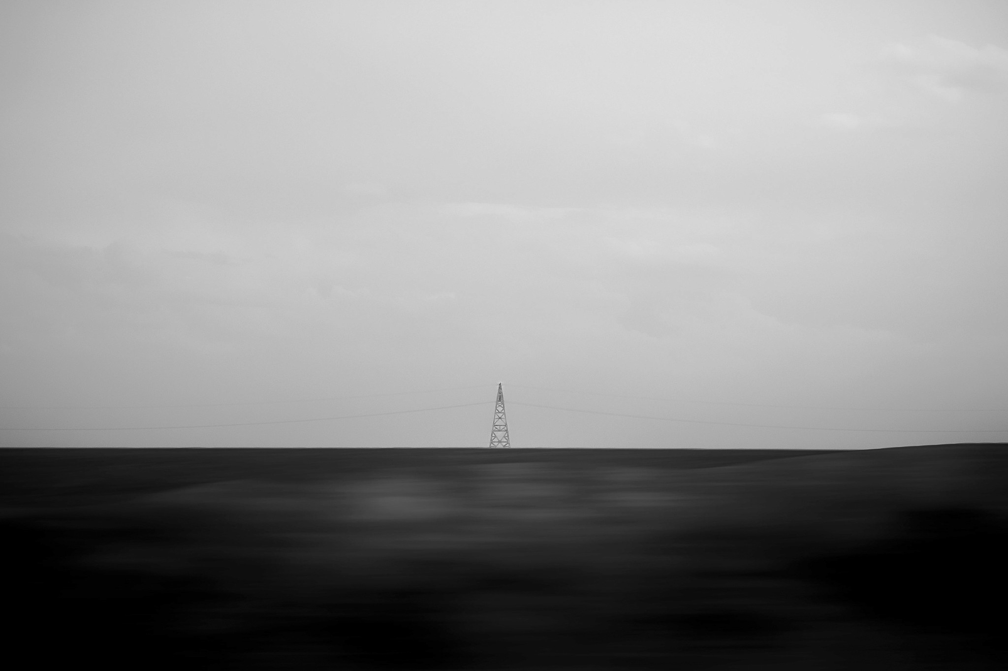 A girl holding a sunflower in a sunflower field on a bright day