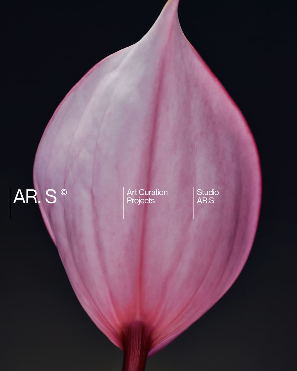 An image of a pink flower with a text layout design.