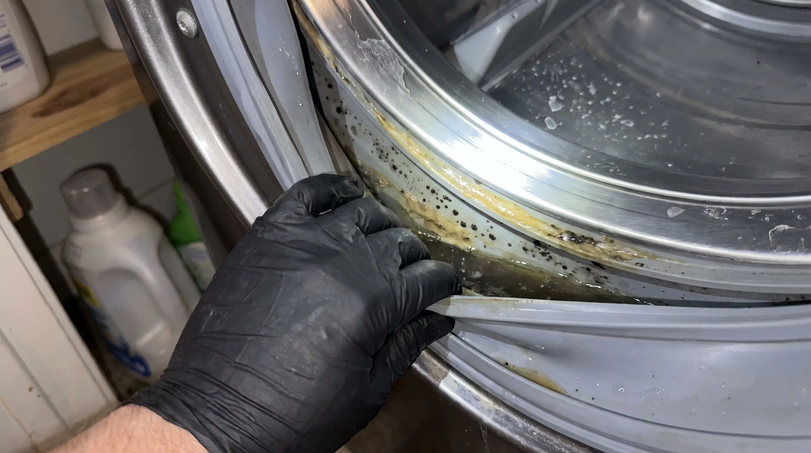 Inside the gasket fold of a front-loader: trapped water, soap scum and the black spotting that ends up near your laundry.