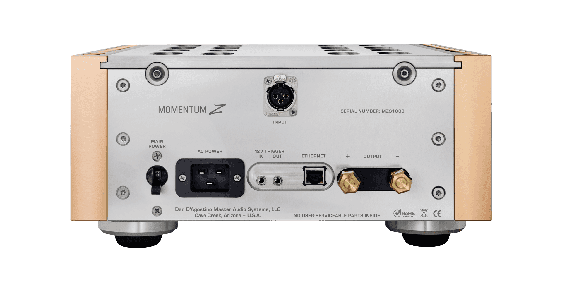 Zadní panel Dan D’Agostino Momentum Z s napájením, triggerem, Ethernetem a připojením