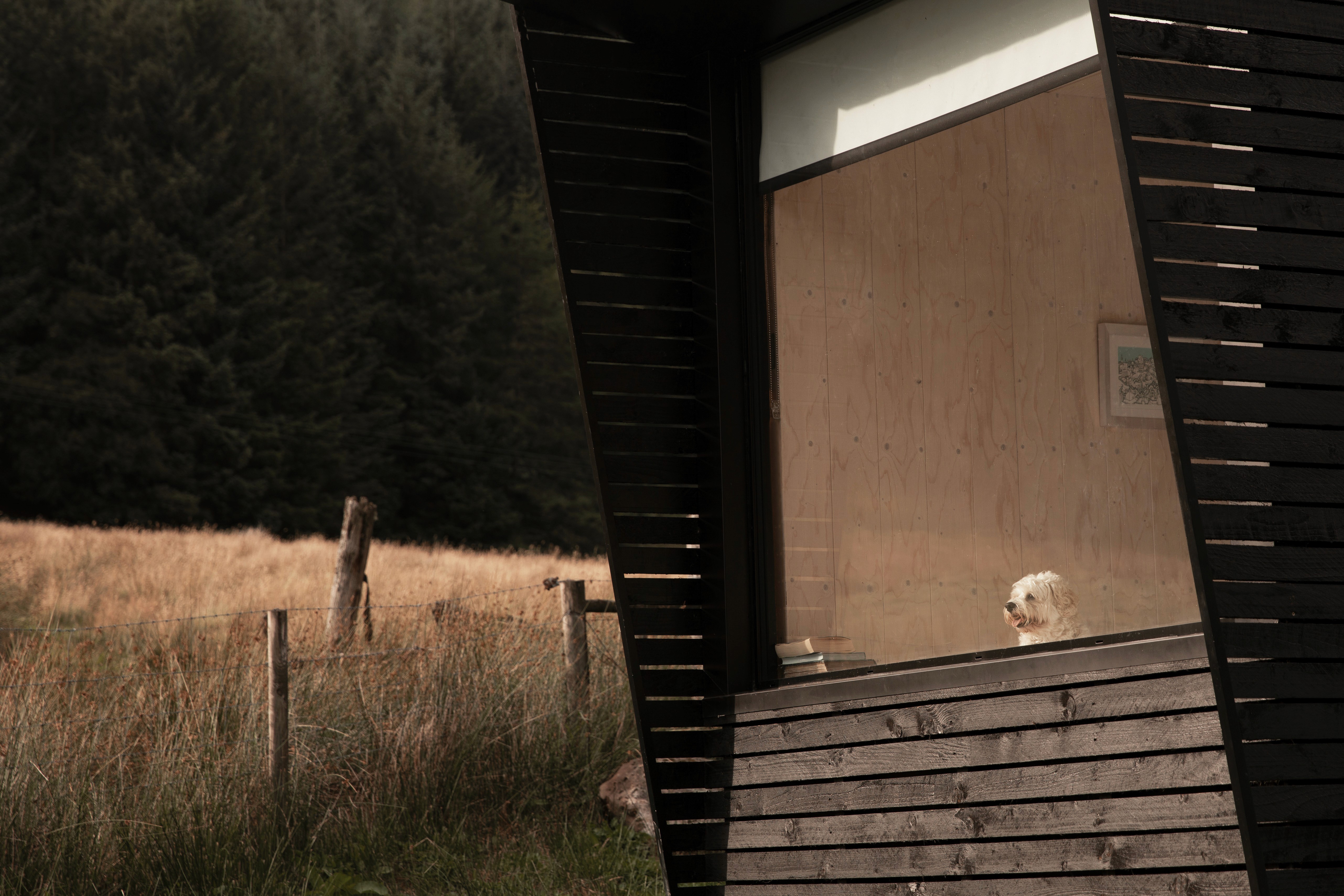 Corr Cabins - a business by S+Co