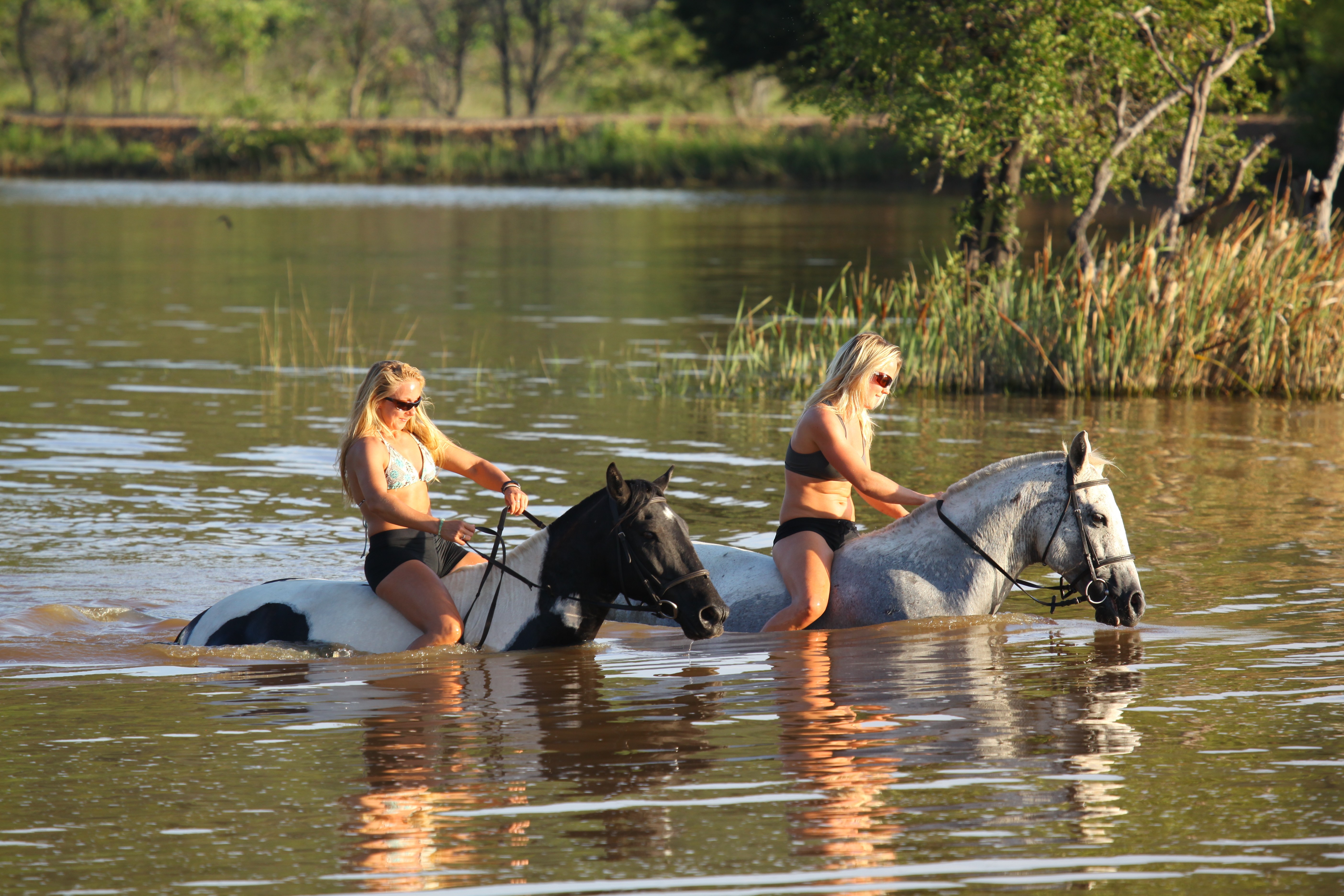 Grupp av ryttare på ridresa i Afrika galopperar över Serengetis vidsträckta slätter medan damm och gnuhjordar rör sig över horisonten under the great migration.