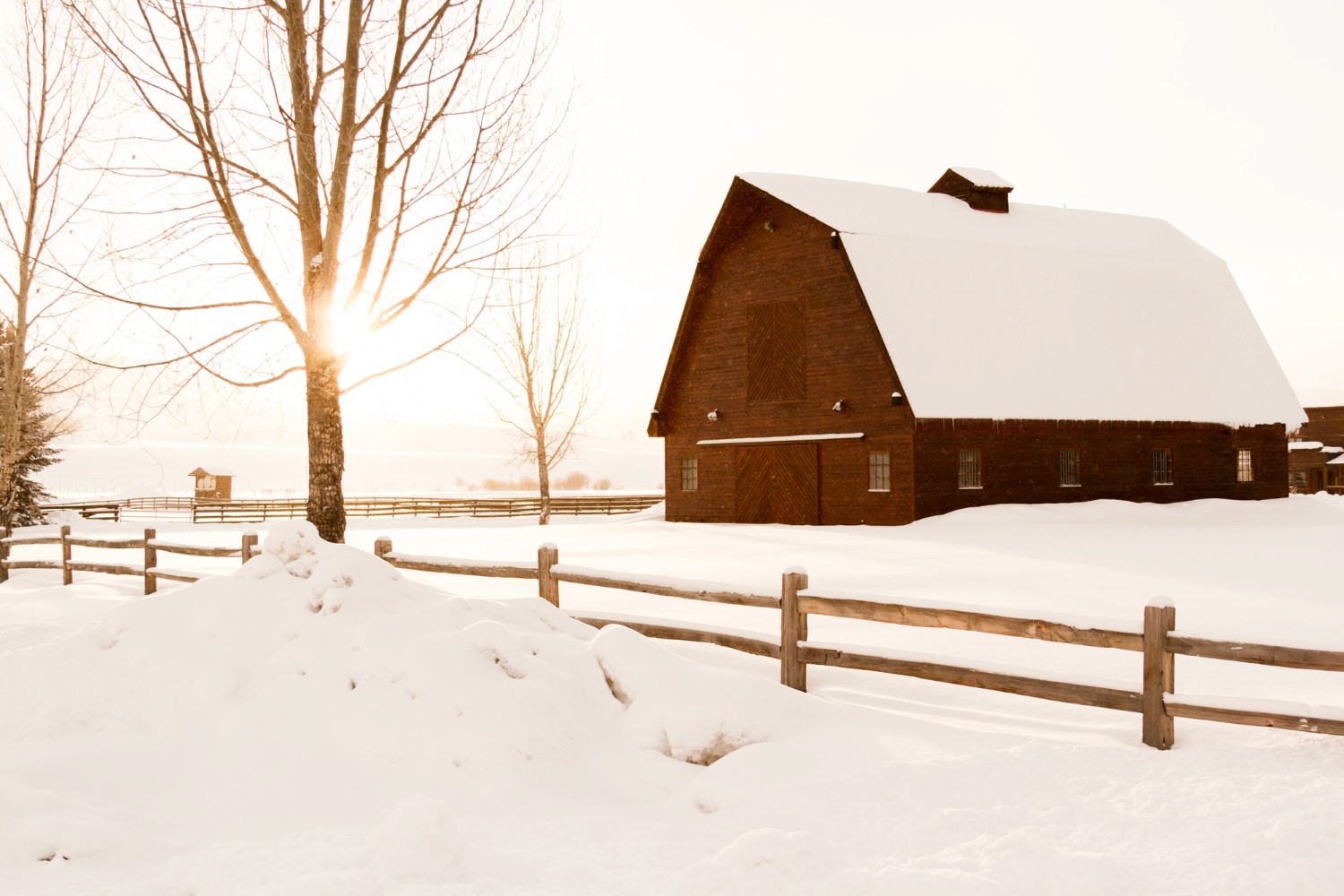 farmland in winter