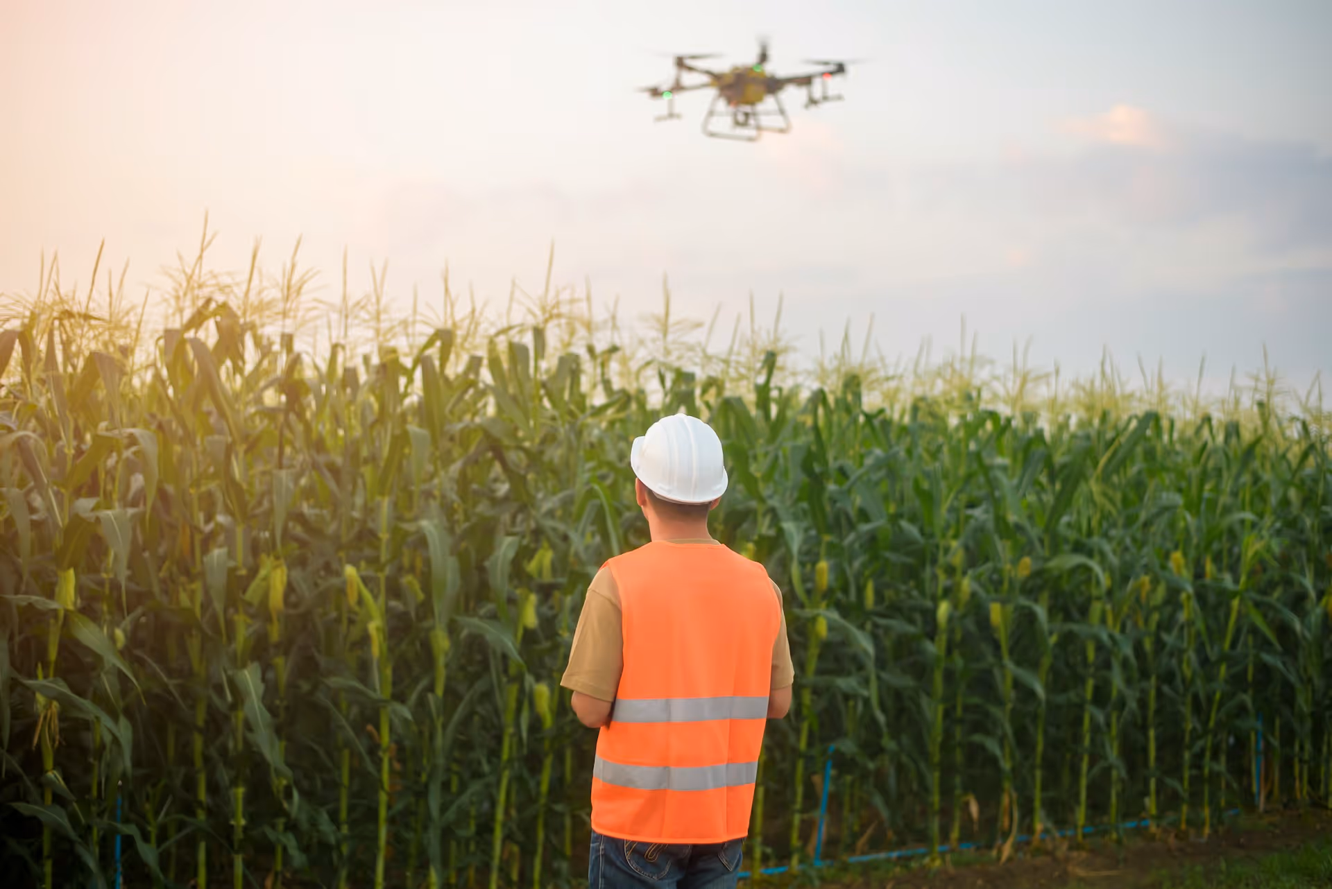 SEO for Drone Companies: Tips to Improve Your Online Presence - Twelverays blog