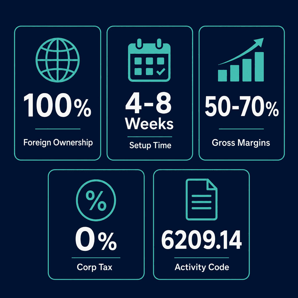 Infographic: Start a Cyber Risk Management Services Business in Dubai
