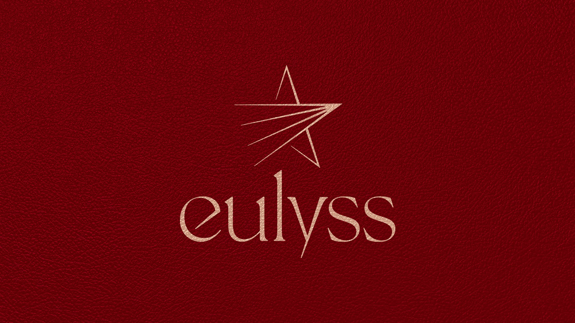 Branded texture for high speed train brand Eulyss