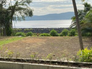The sea view from the cottage
