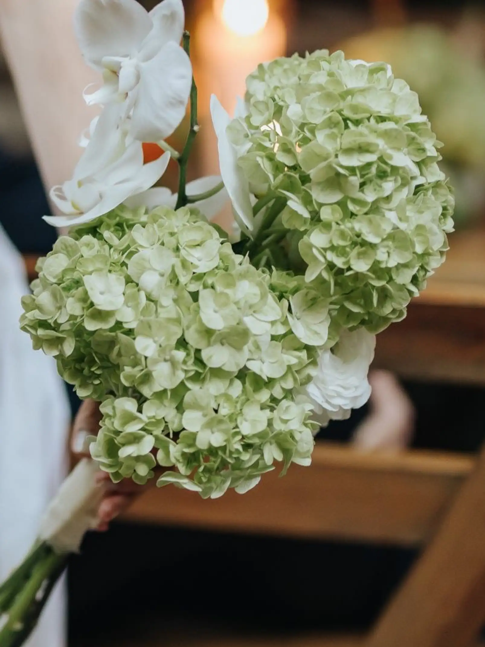 Ramo de hortensias verdes y orquídeas blancas sostenido en primer plano con luz cálida de fondo.