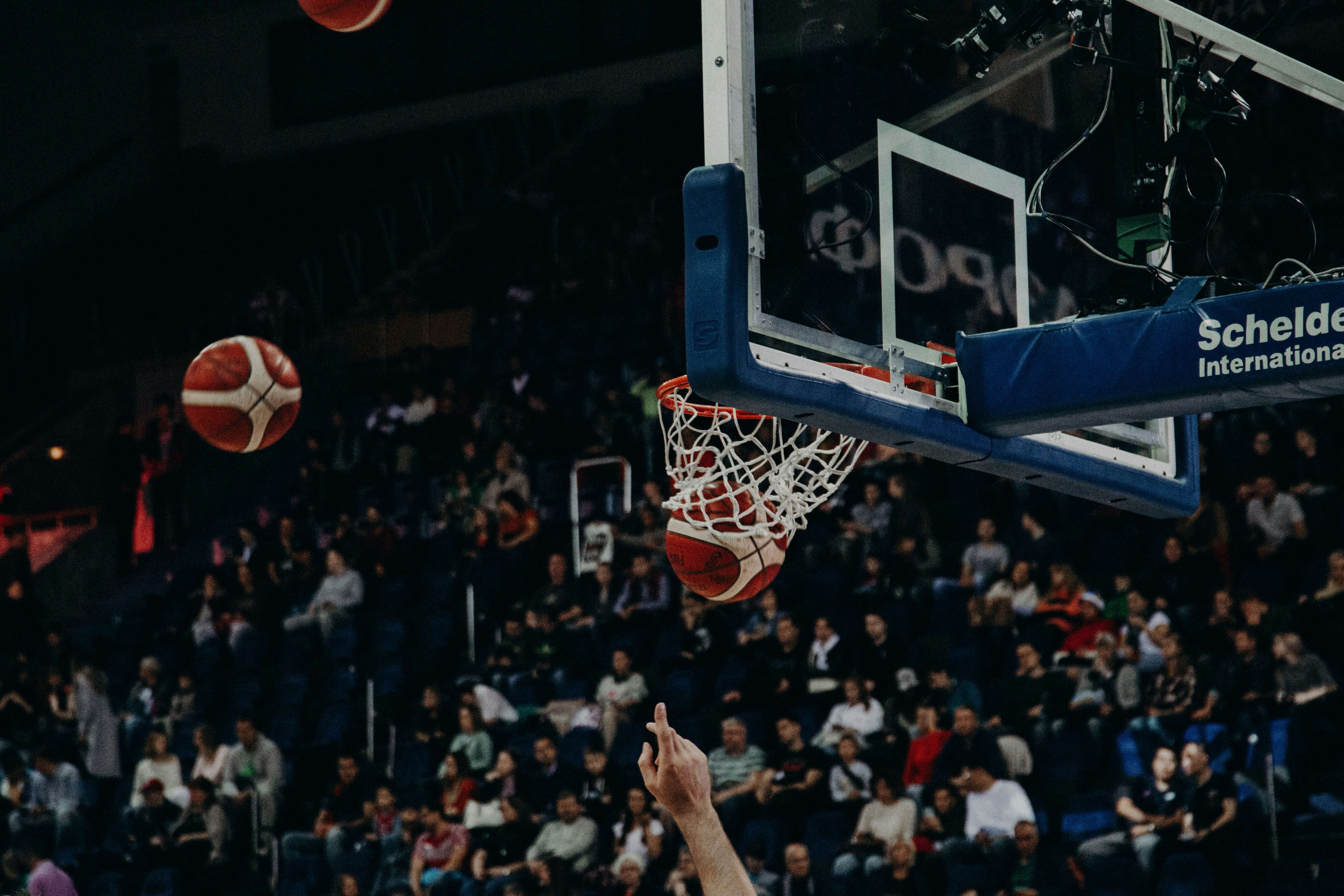 Basketball, crowd, fans