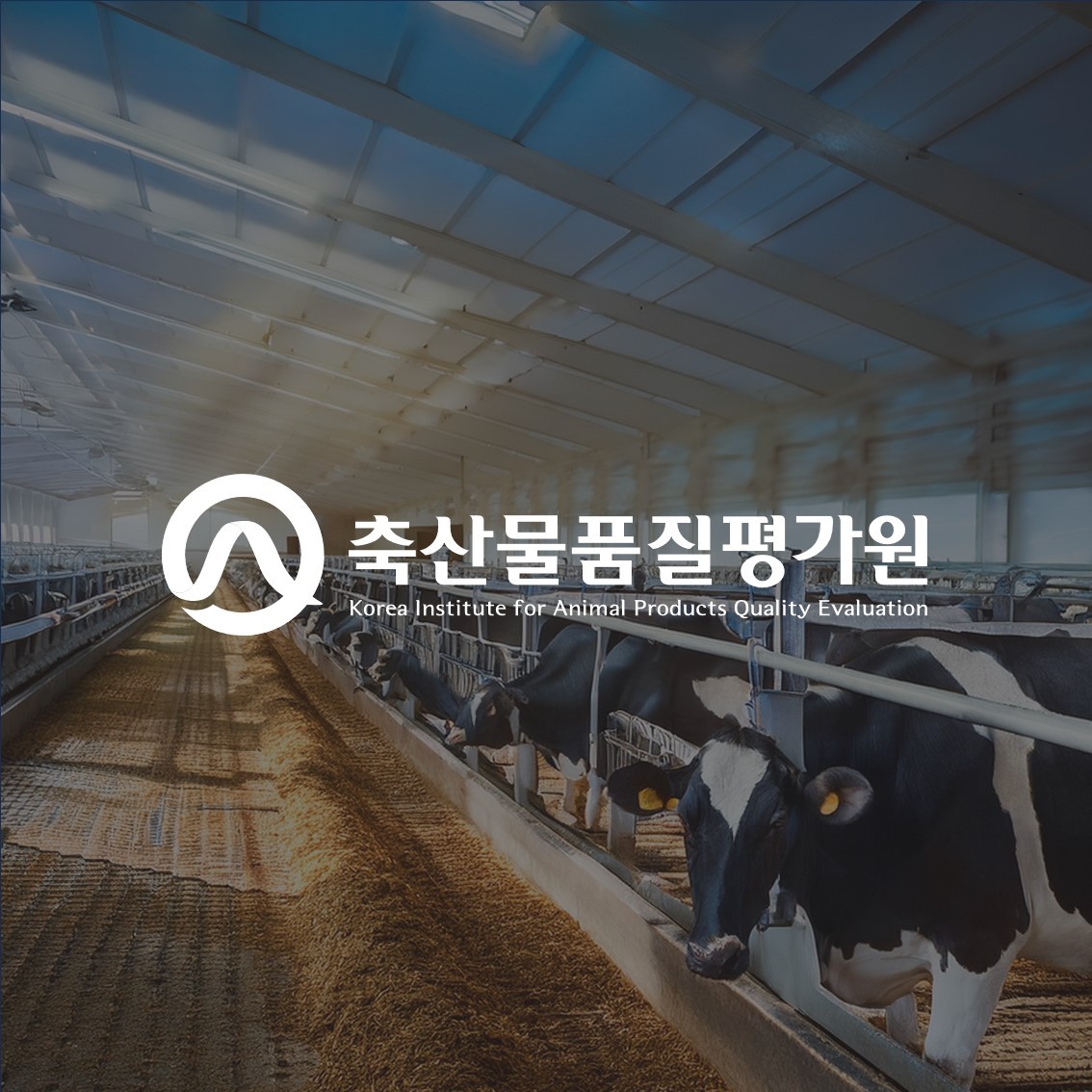 Reify Website Thumbnail