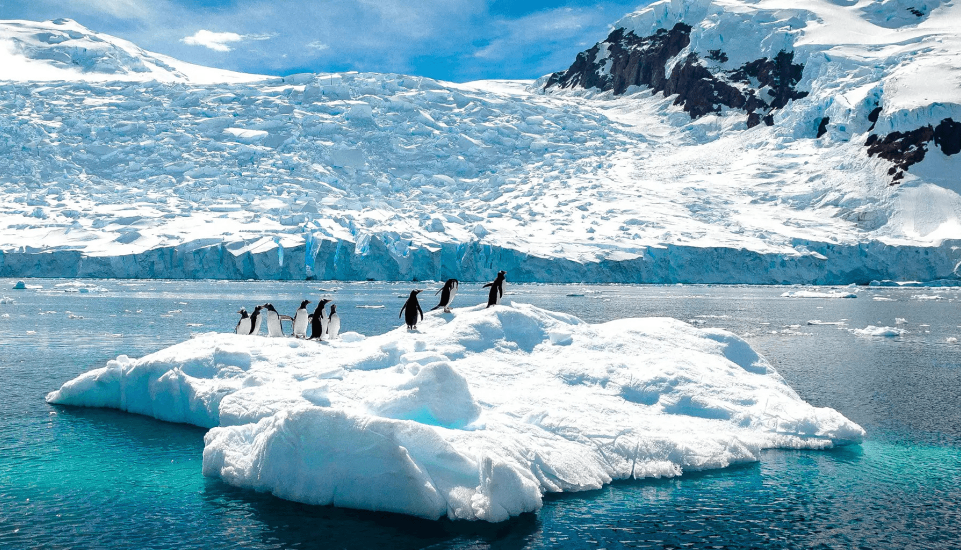 Real Estate Property image 1