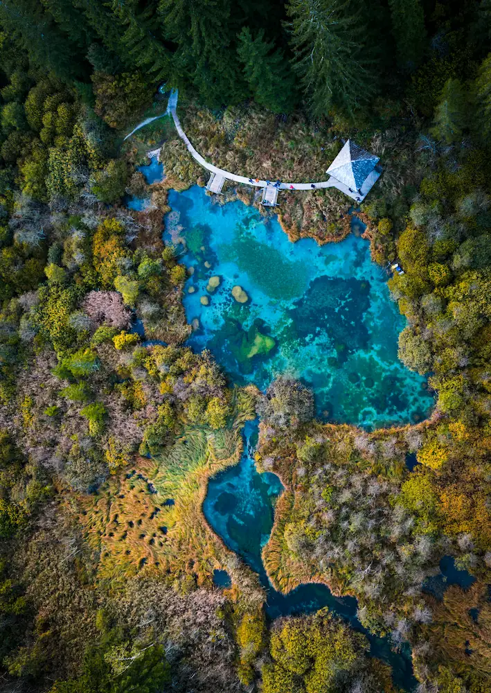 Aerial view of vibrant turquoise water surrounded by lush green trees and autumn-colored foliage at Zelenci water spring, Slovenia.
