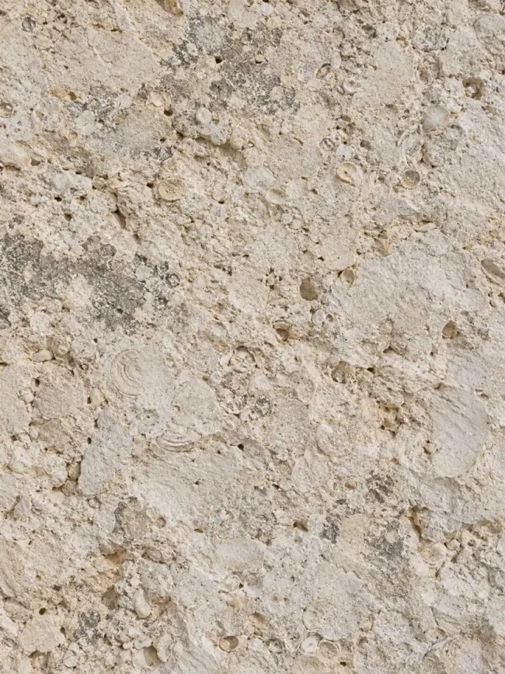 Close-up of the lioz limestone