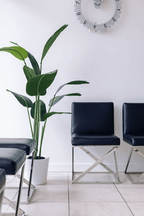 Dental office waiting area with modern chairs, plant, and decorative clock.