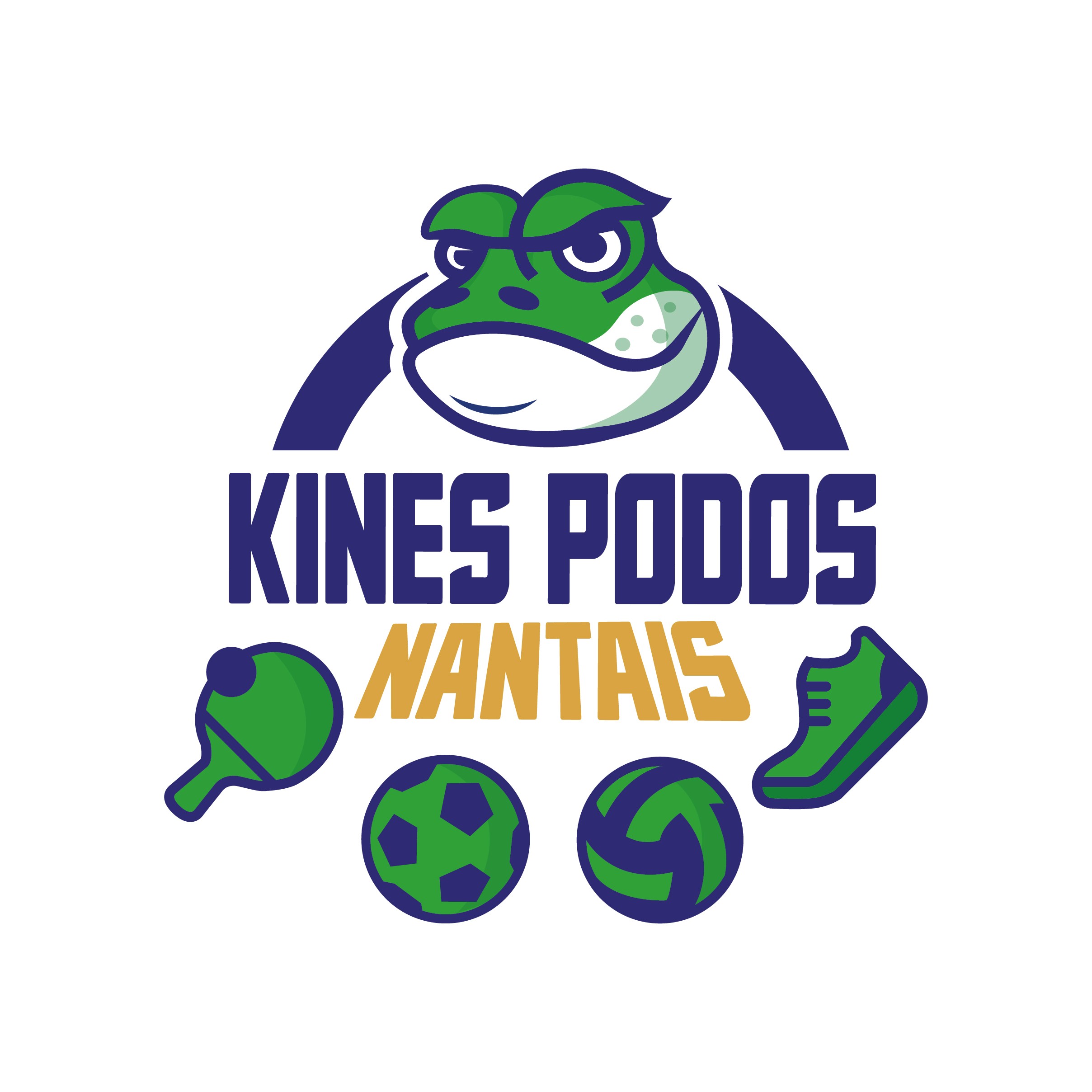 2logo of BDS de l'IFM3R