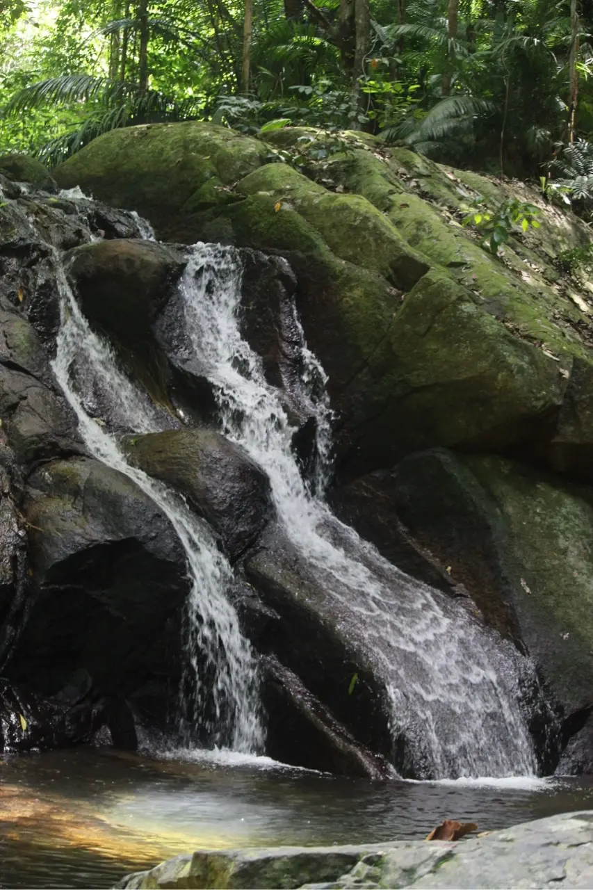 waterval op rotsen in de jungle