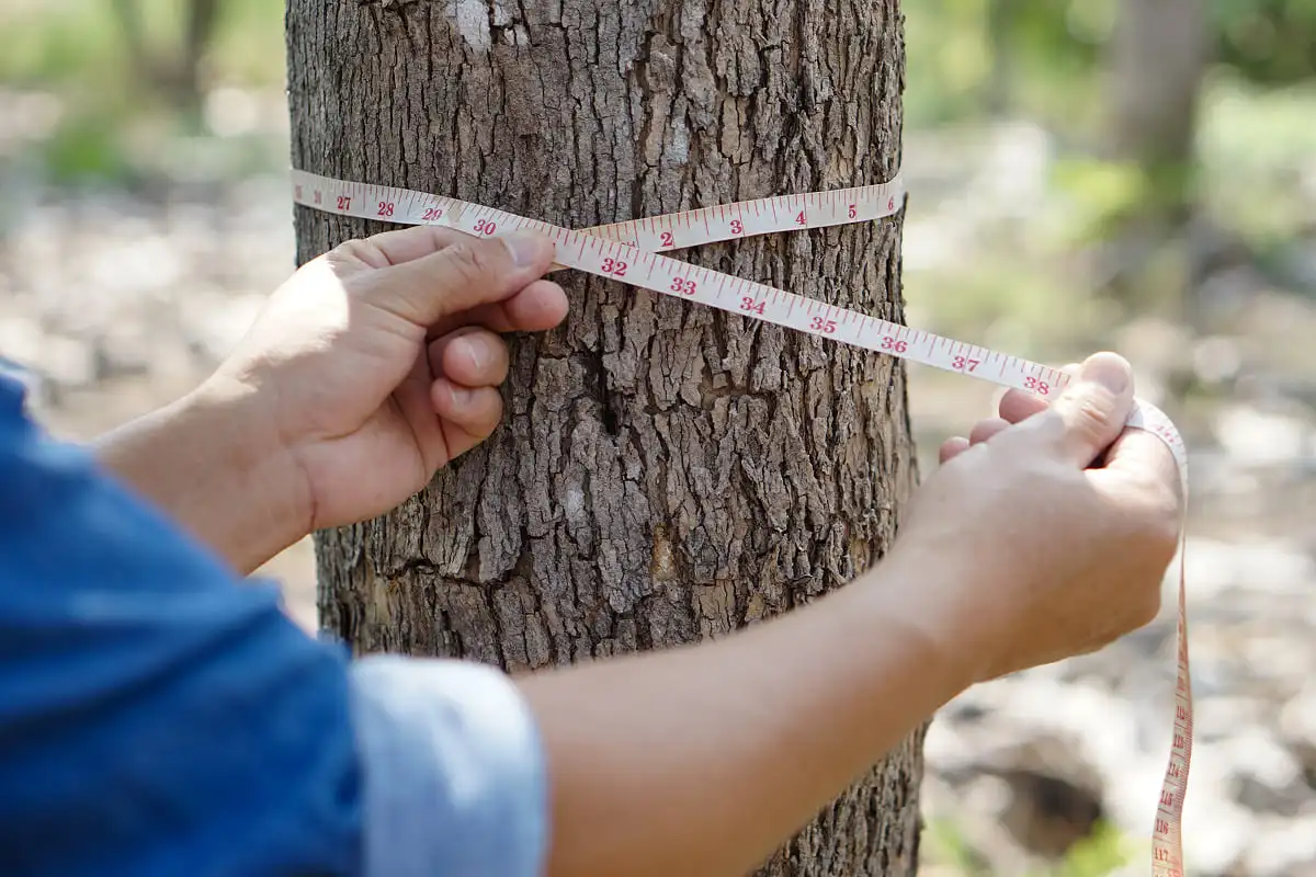 Best Carbon Offset Providers UK 2026: Compared and Reviewed