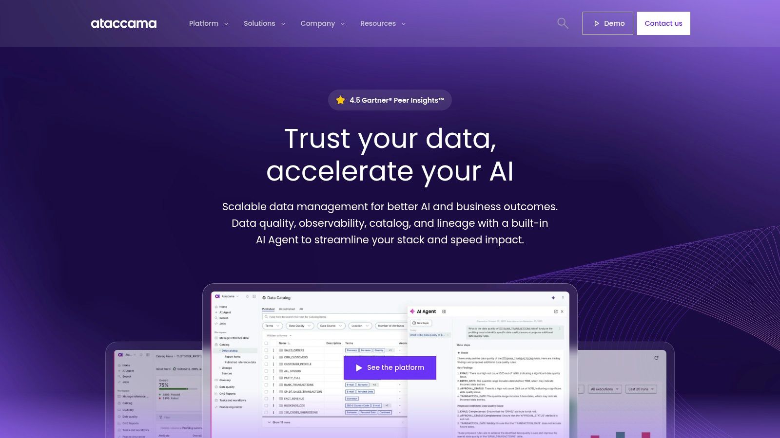 Ataccama ONE (Data Quality & Catalog)