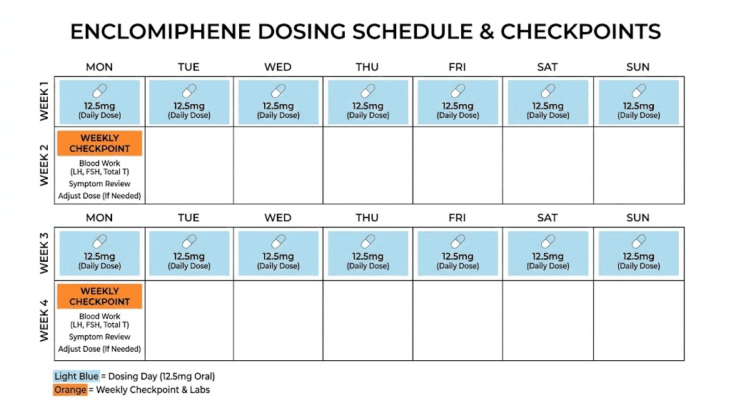 Enclomiphene dosing protocol schedule and monitoring timeline