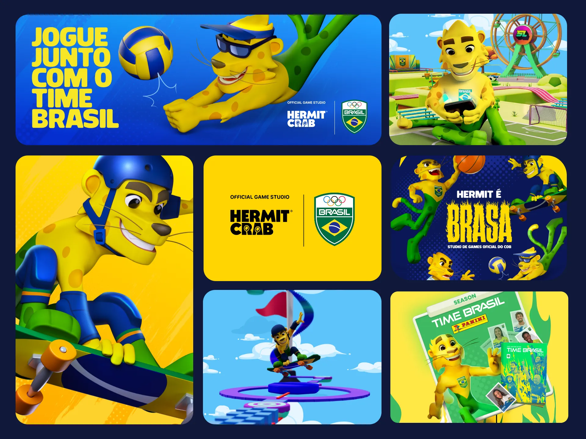 Projects Brazilian Olympic Committee