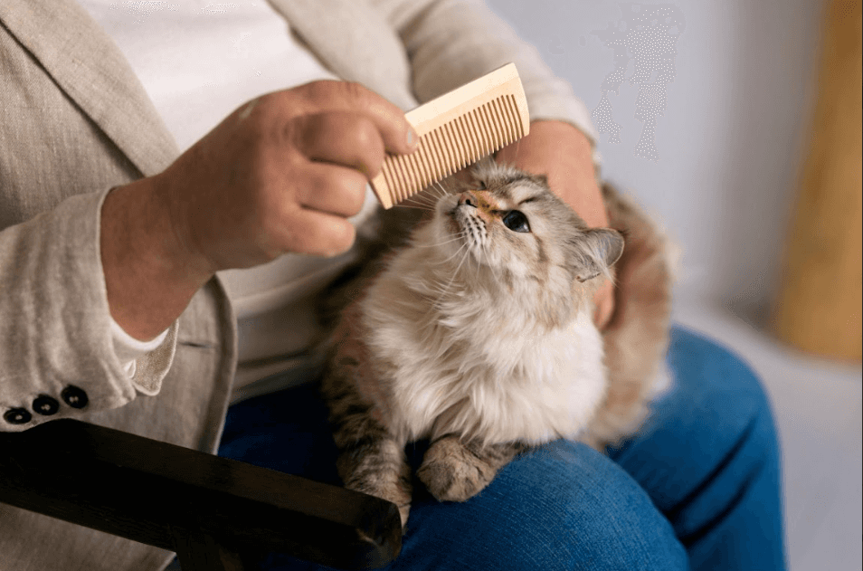 A woman holds a cat during prior to the pet's vaccination.