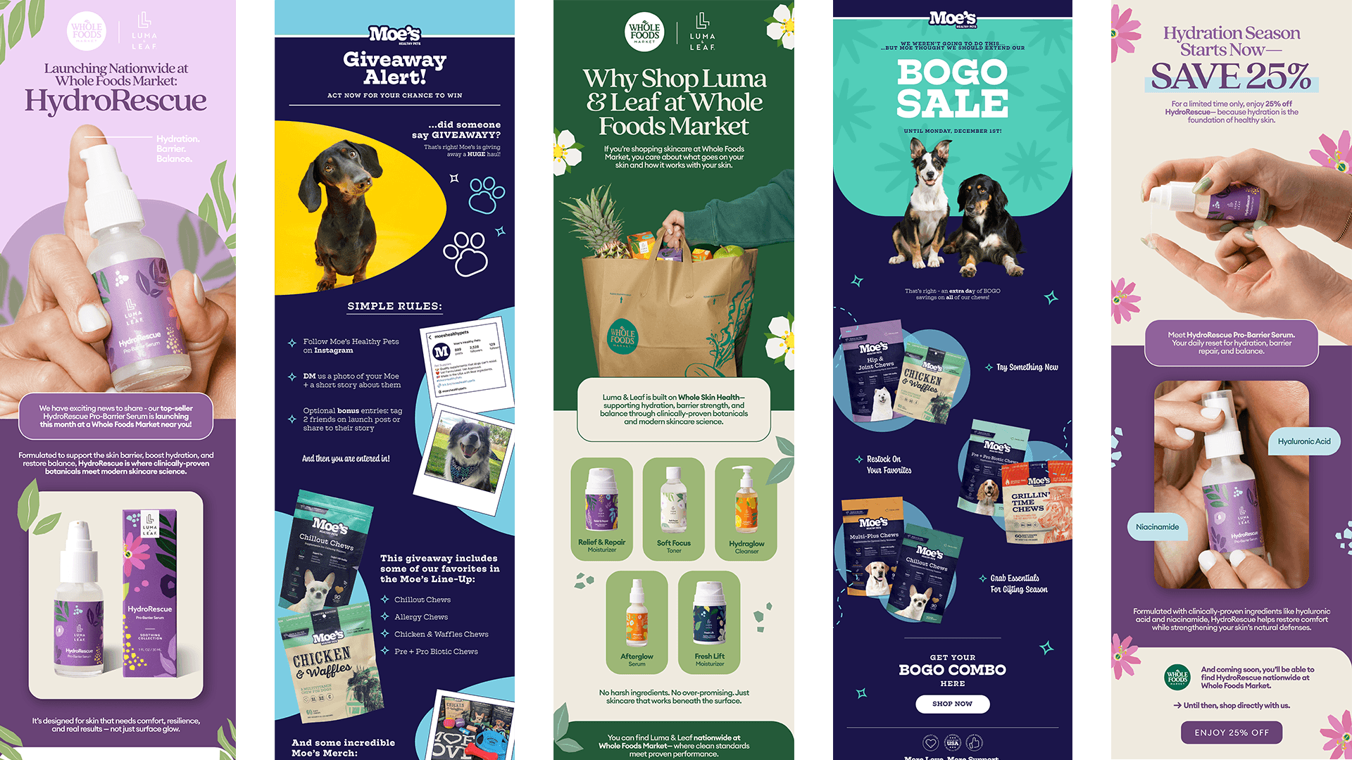 Email and lifecycle hero image