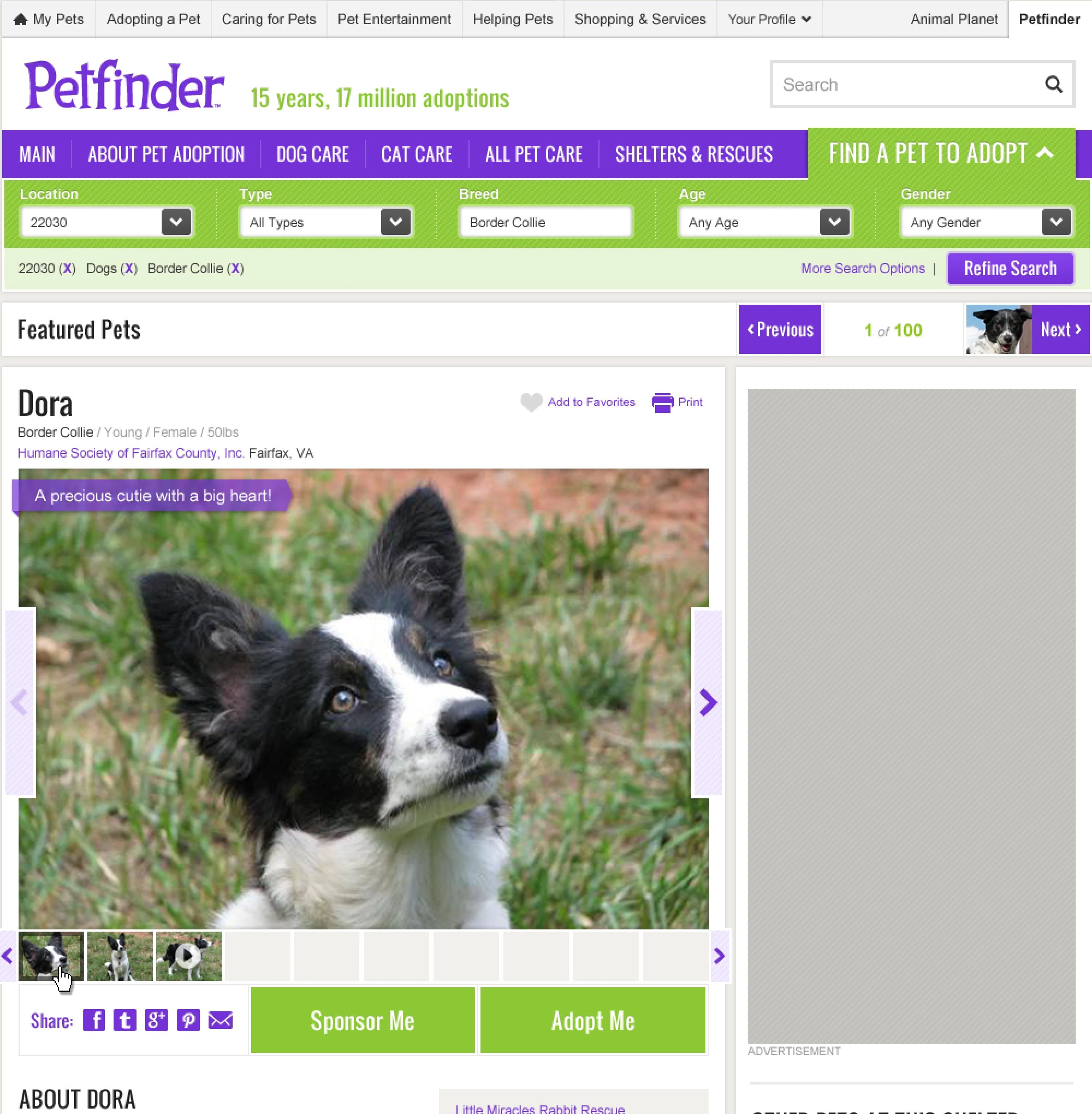 A pet adoption website page with a questionnaire form and a sidebar featuring a Border Collie named Dora.