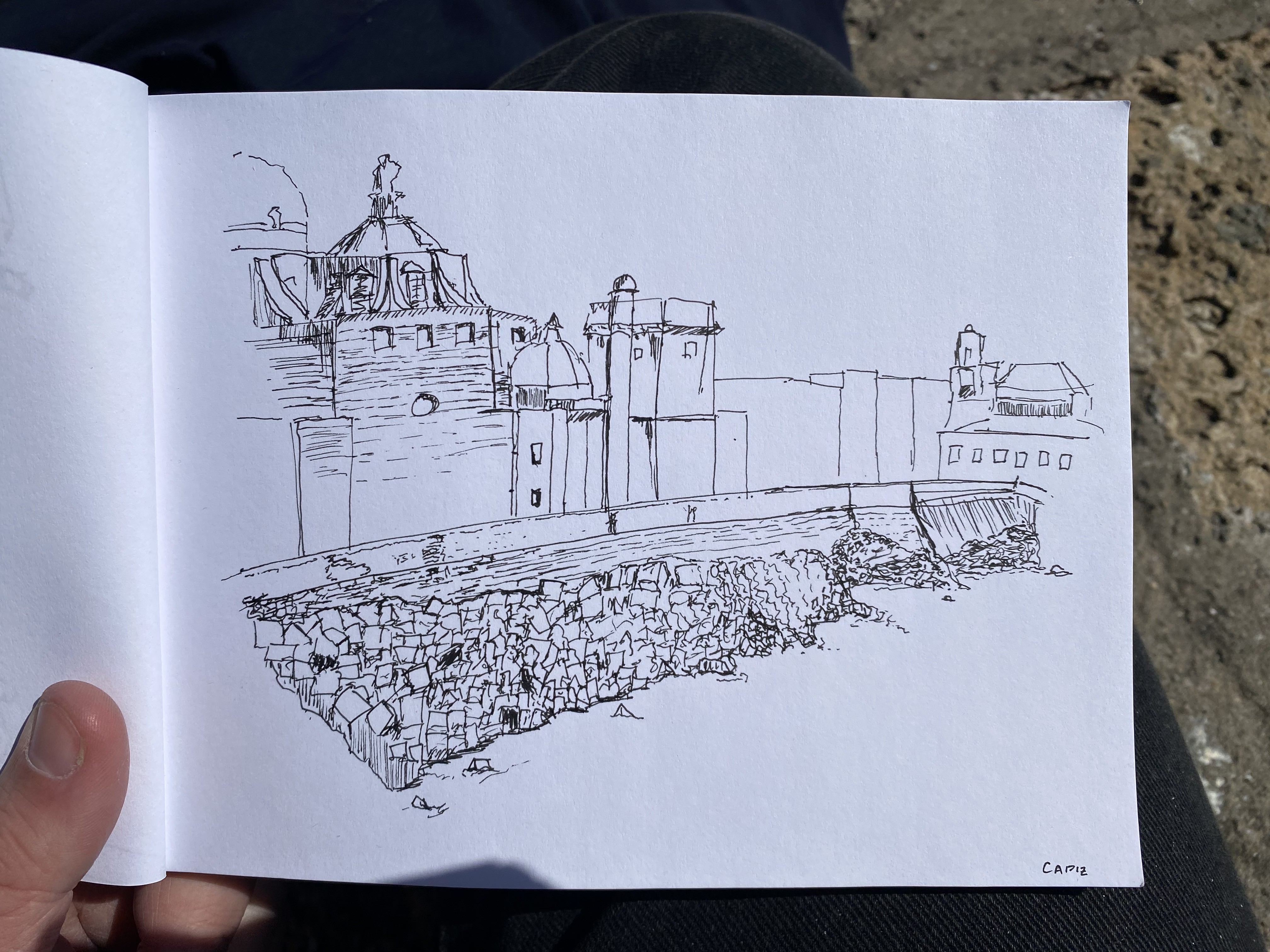 Theo Berry: Watercolor of Joshua Tree landscape