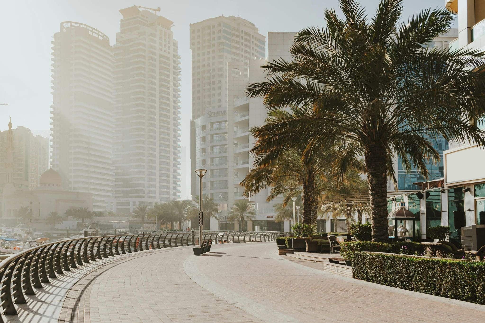 The Dubai Marina walkway lined with palm trees, outdoor seating, and high-rise residential towers in the background.