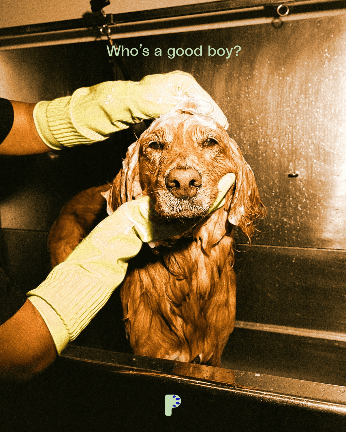 Brand identity, art direction e graphic design – Moonball Studio