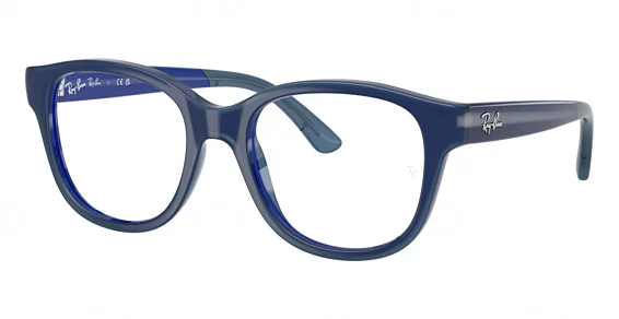 Frame selection for Ray-Ban
