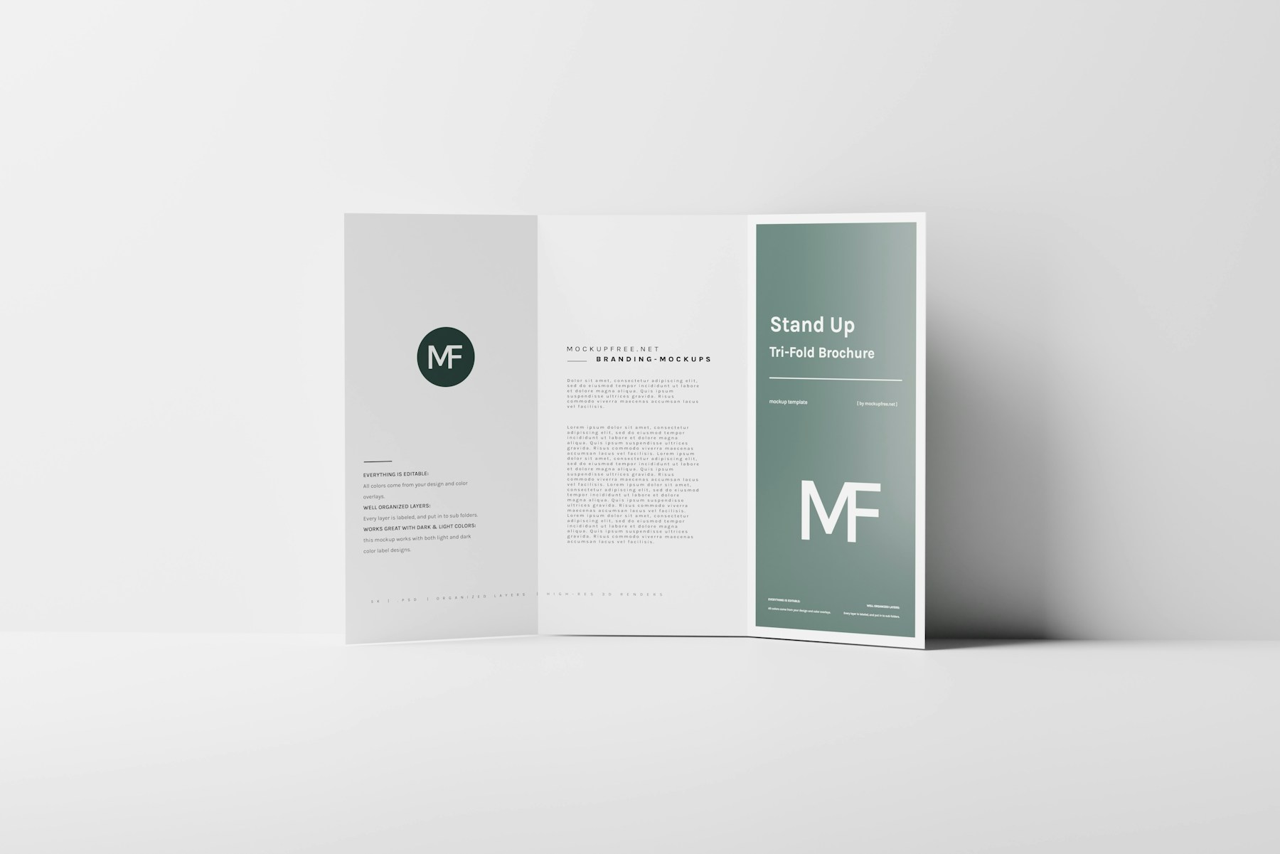 A folded editorial brochure demonstrating how a brand system travels across formats.
