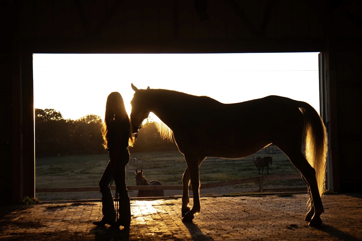 Woman standing with a horse in a barn