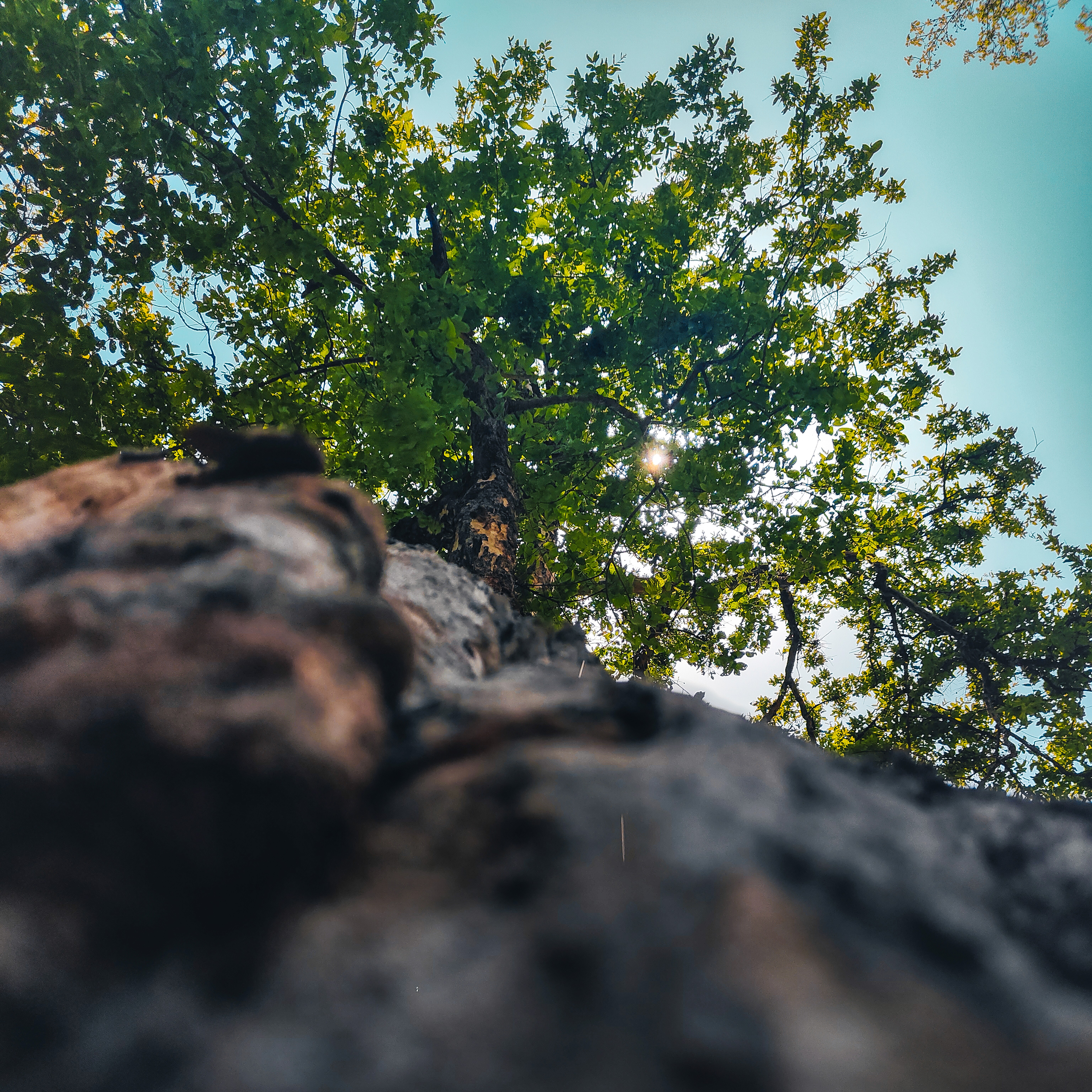 Women On Neon Background