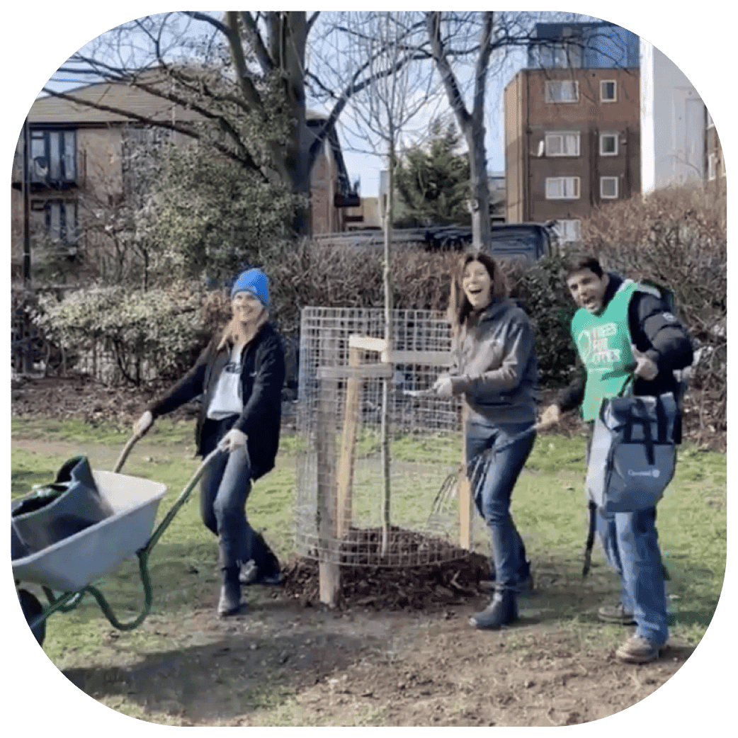 eople outdoors moving soil and equipment around a newly planted tree protected by wire fencing.
