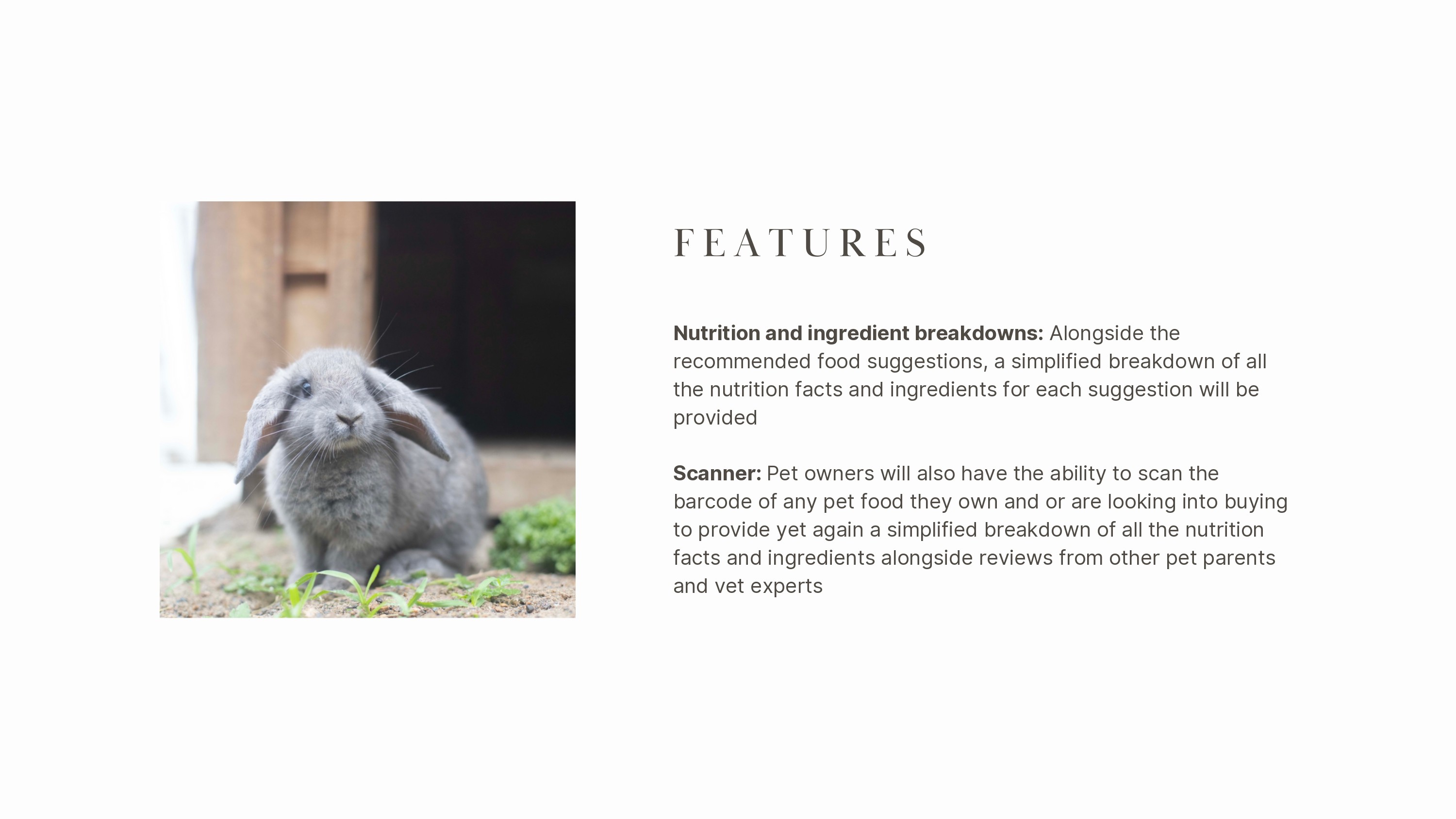 pet plate - features