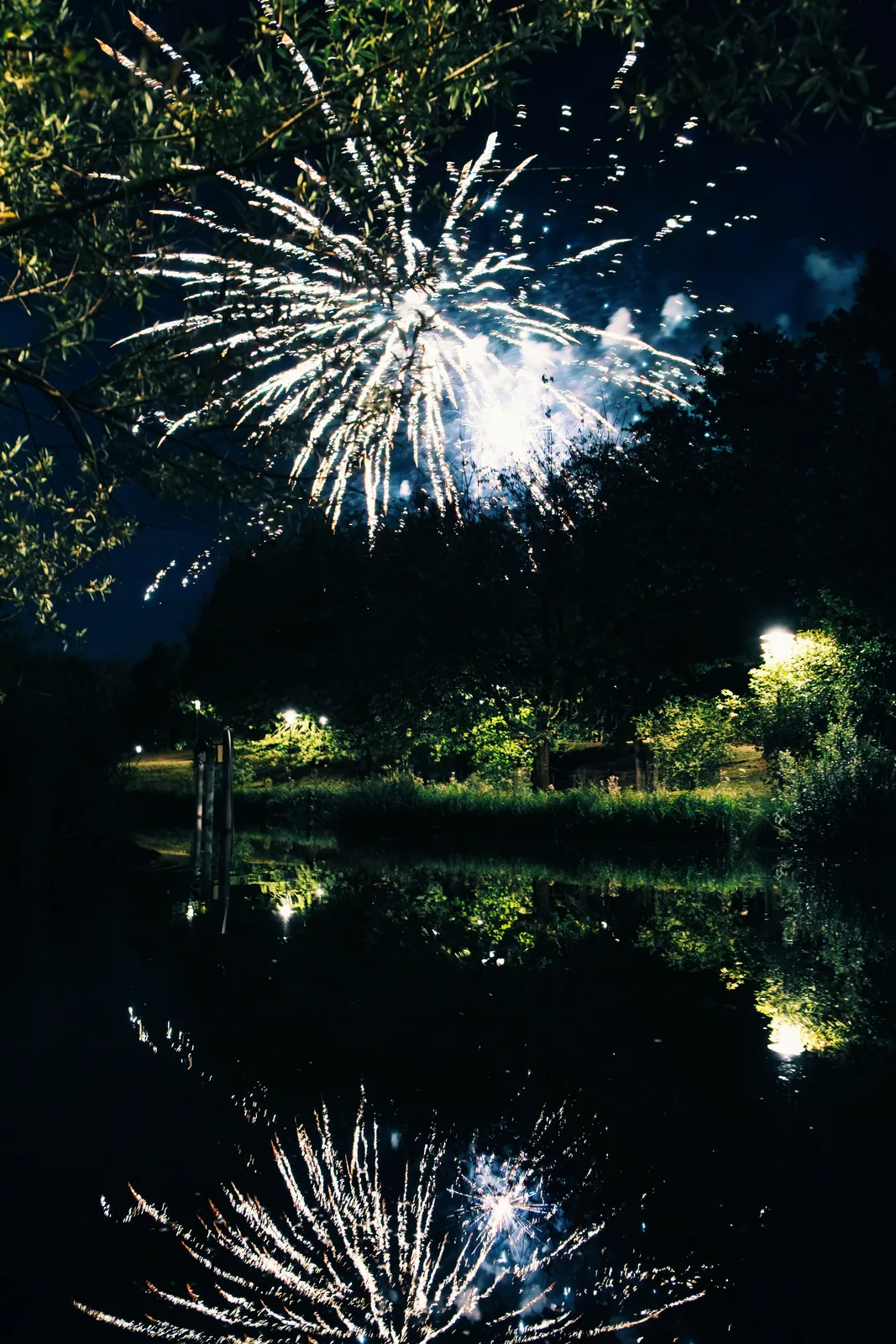 Feuerwerk über den Bäumen am Rand der Stadtmitte.