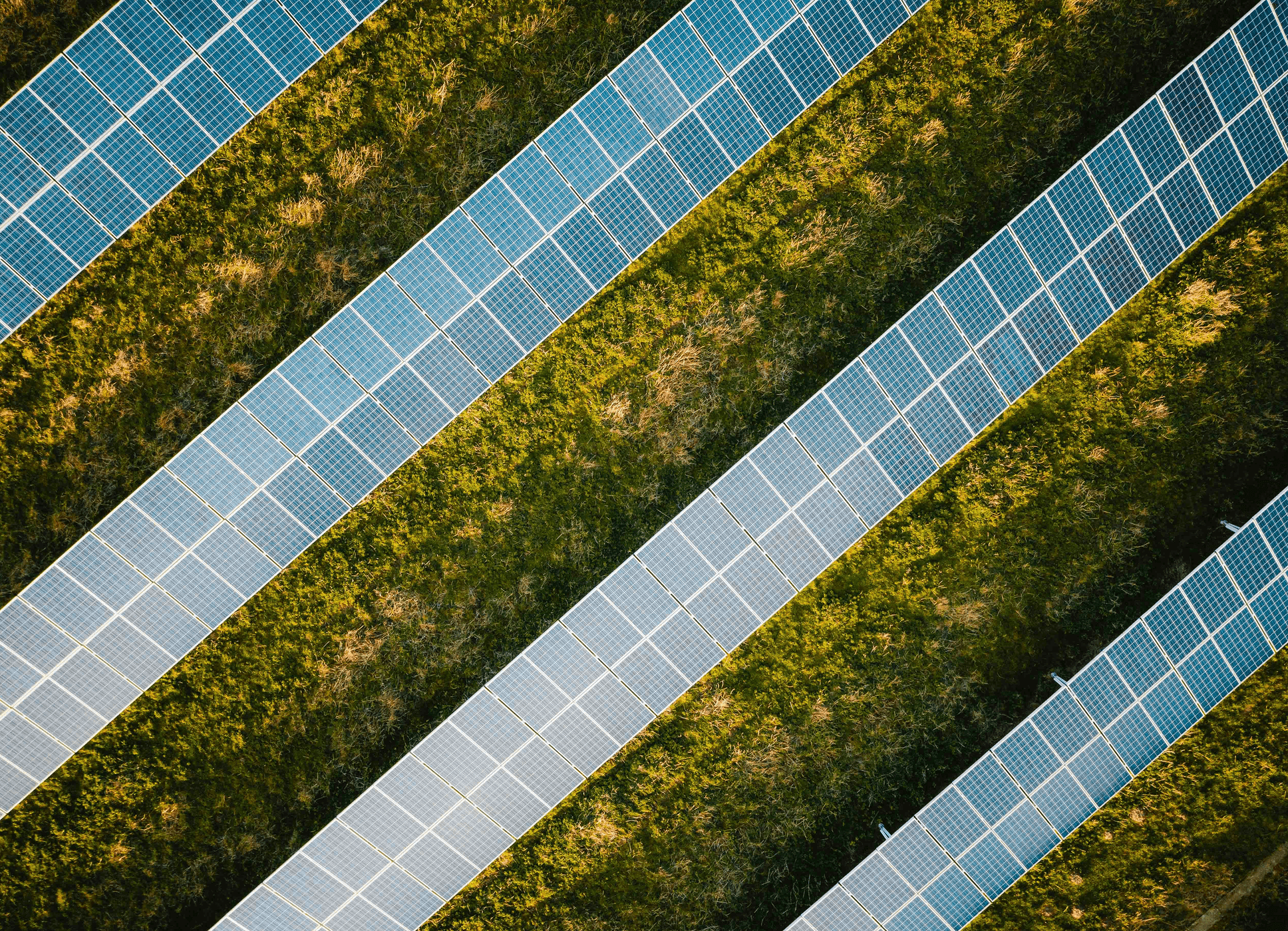 Aerial view of solar panels in a grassy field