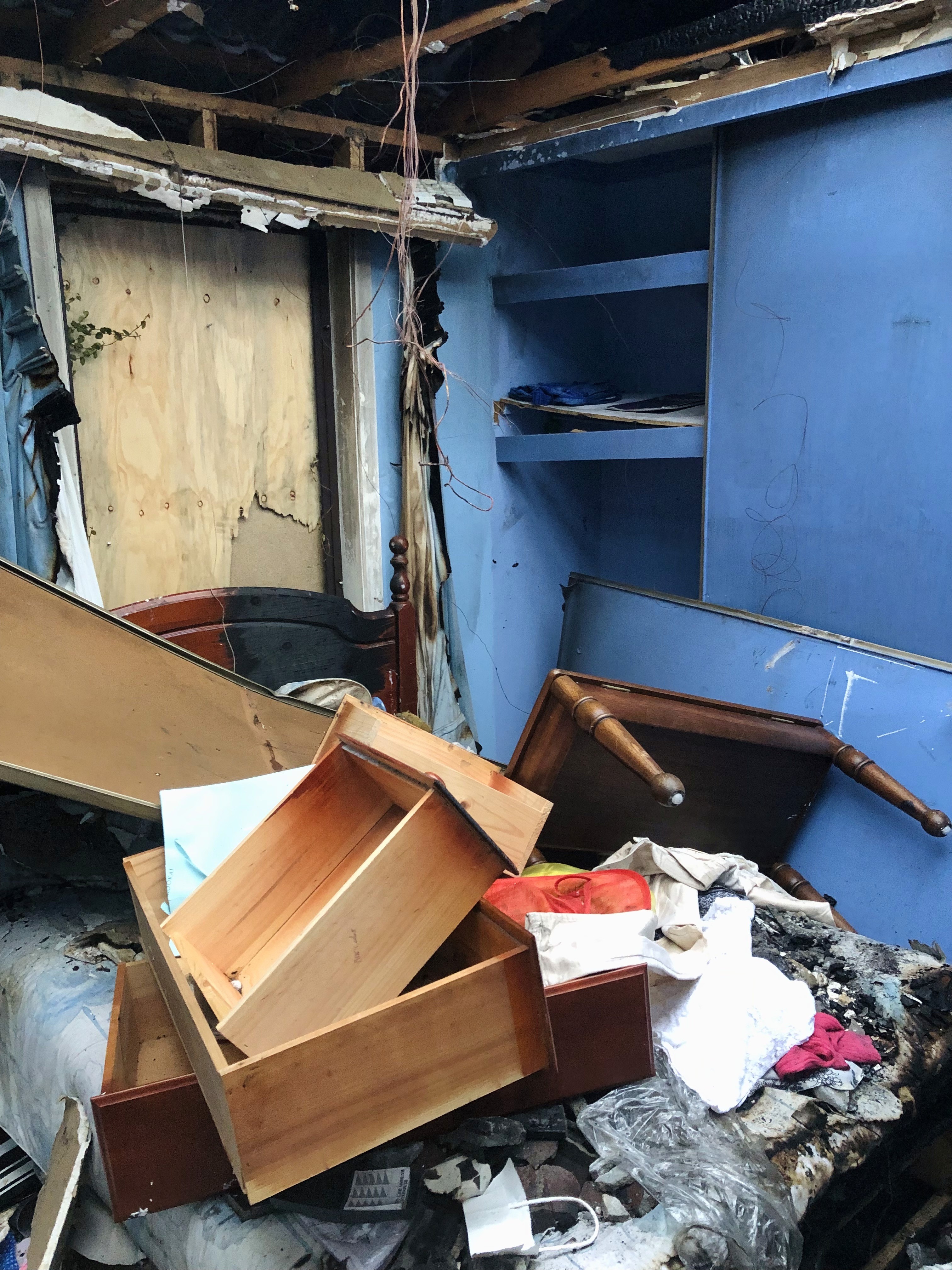 and still the lilies bloomed cover image